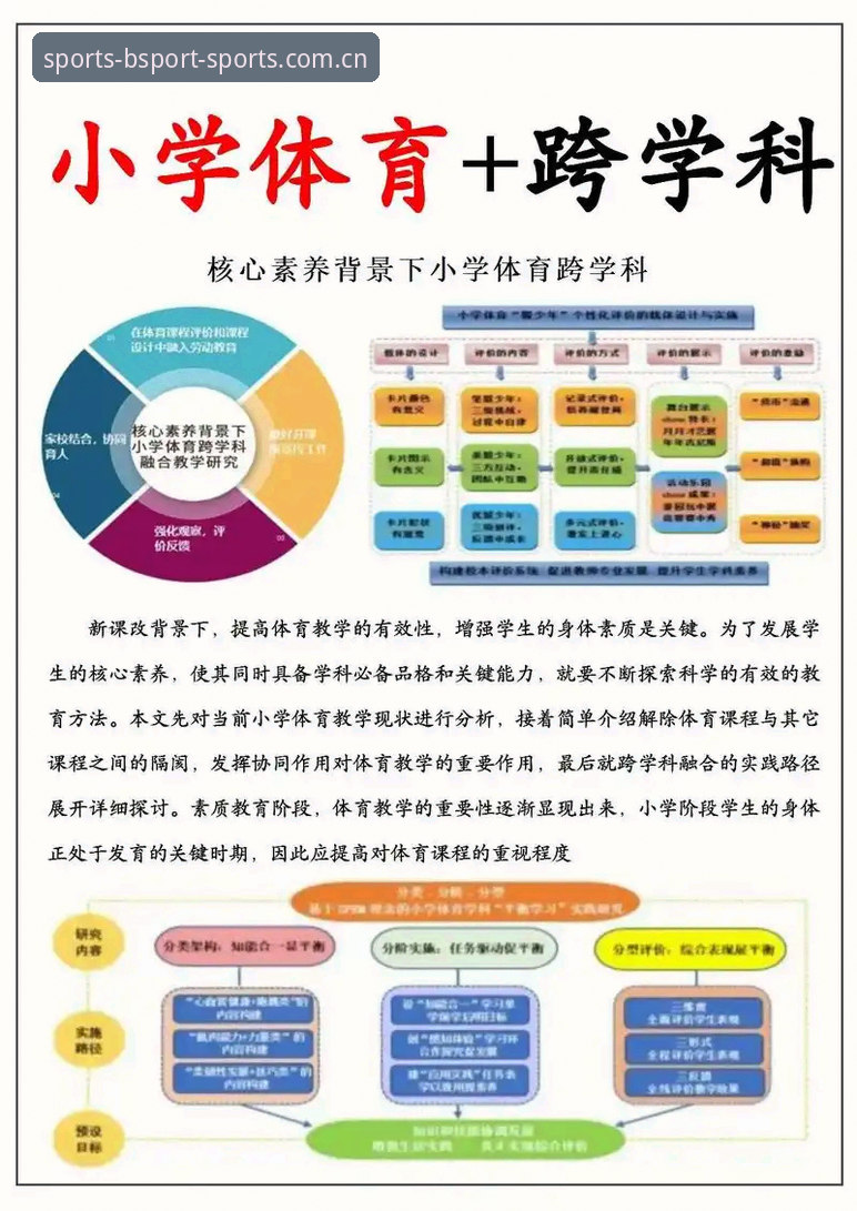 从入门到精通：bsport体育使用最新趋势与核心功能深度解析